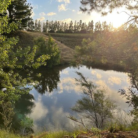 A Cabin With A Big View, Comfort And Tranquility, Close To Vines Martinborough Eksteriør billede