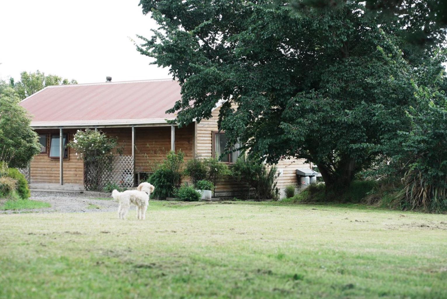 A Cabin With A Big View, Comfort And Tranquility, Close To Vines Martinborough Eksteriør billede