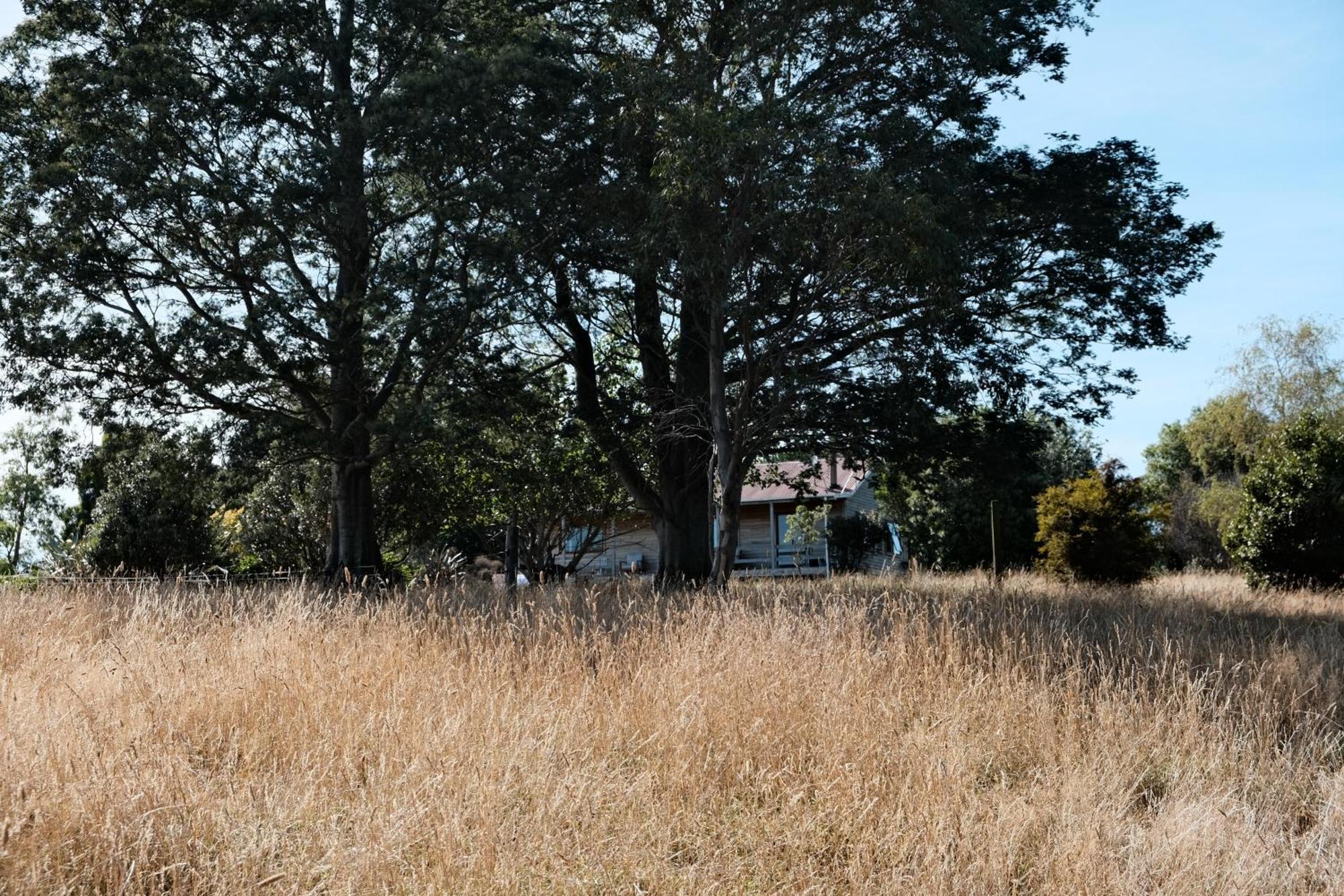 A Cabin With A Big View, Comfort And Tranquility, Close To Vines Martinborough Eksteriør billede