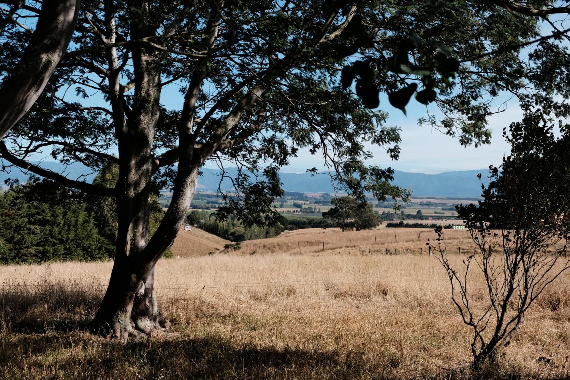 A Cabin With A Big View, Comfort And Tranquility, Close To Vines Martinborough Eksteriør billede
