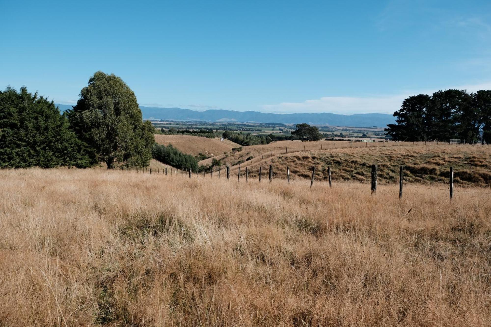 A Cabin With A Big View, Comfort And Tranquility, Close To Vines Martinborough Eksteriør billede