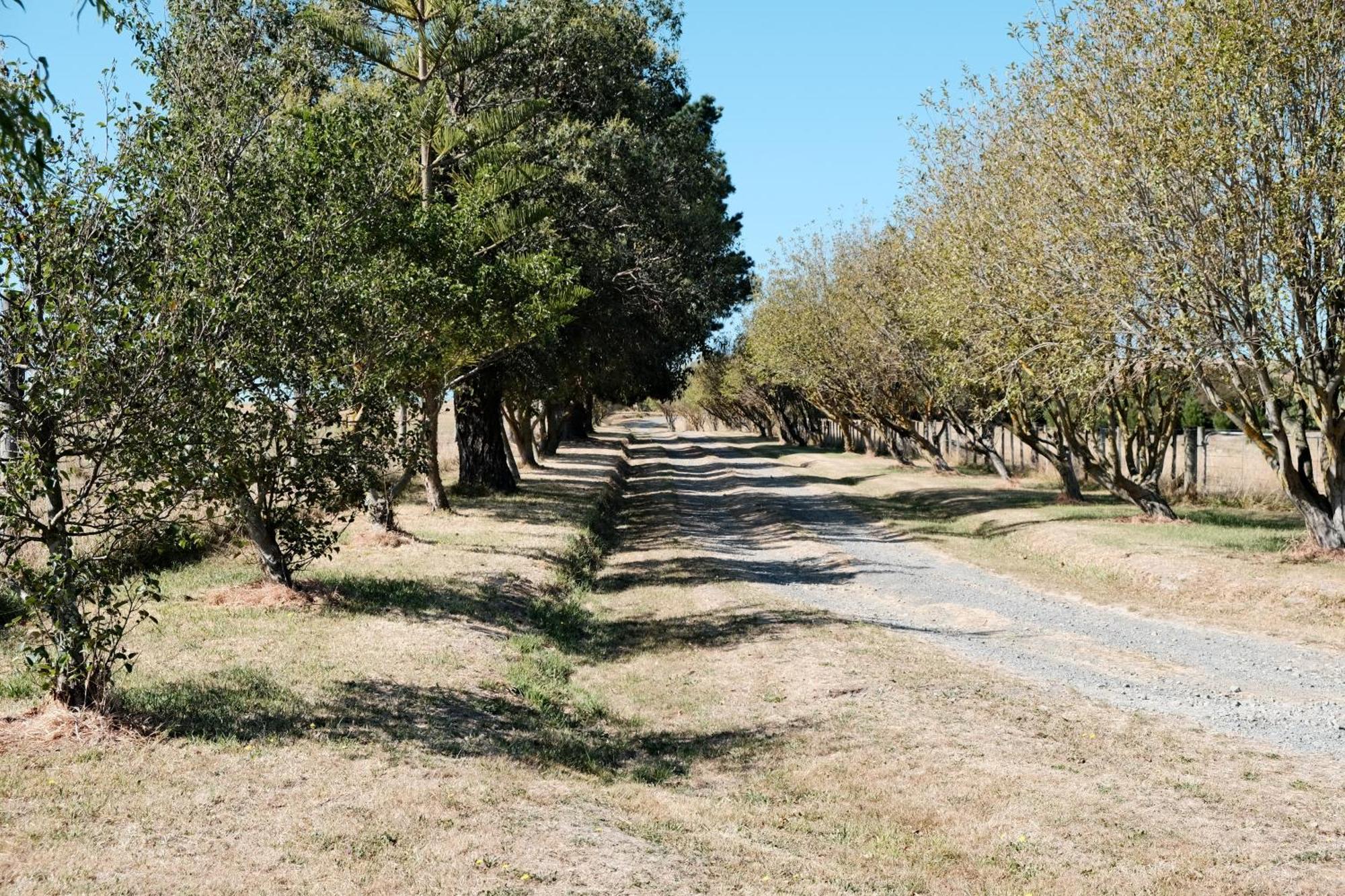 A Cabin With A Big View, Comfort And Tranquility, Close To Vines Martinborough Eksteriør billede